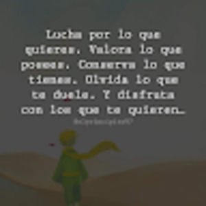 Meet your Posher, Dina